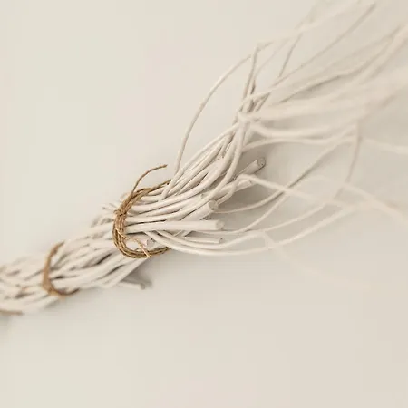 Bucci 54 Frühstückspension Morciano di Romagna