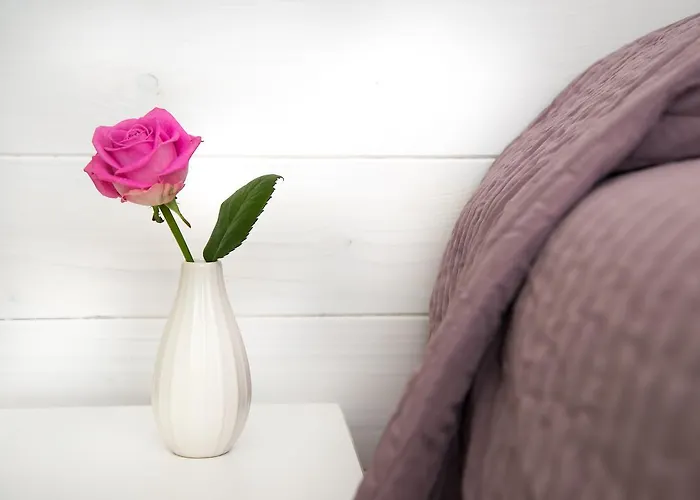 לינה וארוחת בוקר Bucci 54 מורצ'אנו די רומנה