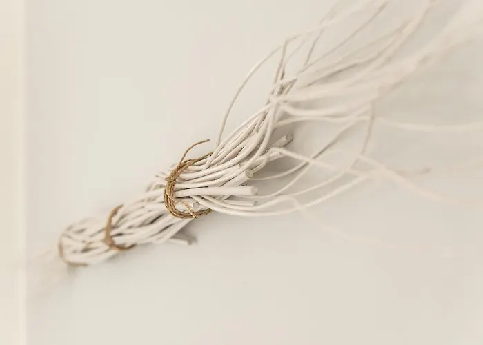 Bucci 54 Bed and Breakfast Morciano di Romagna